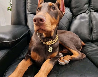 14 mm Cuban Link Dog Chain, Custom dog chain,dog gift, Dog Necklace, Pet Necklace, Cuban Link, Dog Gold Collar