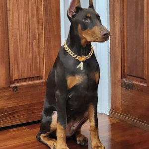 Cadena de perro de oro cubano, collar de perro de carta personalizada, collar de perro de oro de enlace cubano, niño de collar de perro personalizado, regalo para mascota, regalos de amante de mascotas