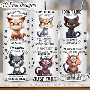 Sassy Cat Tumbler Wrap - 20 oz Skinny Tumbler PNG - Funny Grumpy Cat Sublimation Design - Digital Download, Sarcastic Tumbler wrap PNG