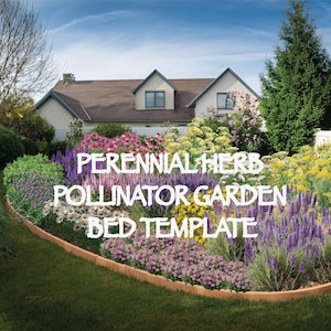 Perennial Herb Pollinator Garden Bed Template - Oval (8m x 4m - drawn to scale) Zones 4 - 8