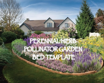 Perennial Herb Pollinator Garden Bed Template - Oval (8m x 4m - drawn to scale) Zones 4 - 8