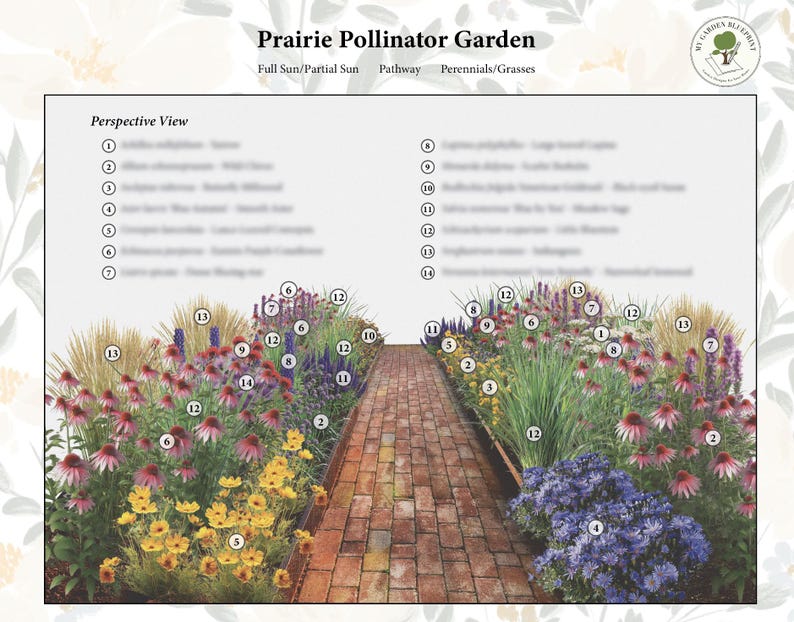 Prairie Pollinator Garden Template - Pathway (TWO BEDS - 2m X 8m ...