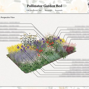 Pollinator Garden Bed Template - Rectangle (10m x 5m - drawn to scale)