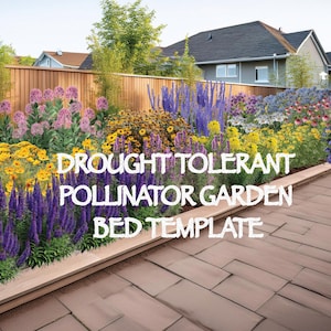 Op de afbeelding: Een droogtetolerant bestuivers-tuinbed-sjabloon met een verscheidenheid aan kleurrijke bloemen, waaronder paarse, gele en witte bloesems. Het bed is omgeven door een houten hek en een stenen pad.