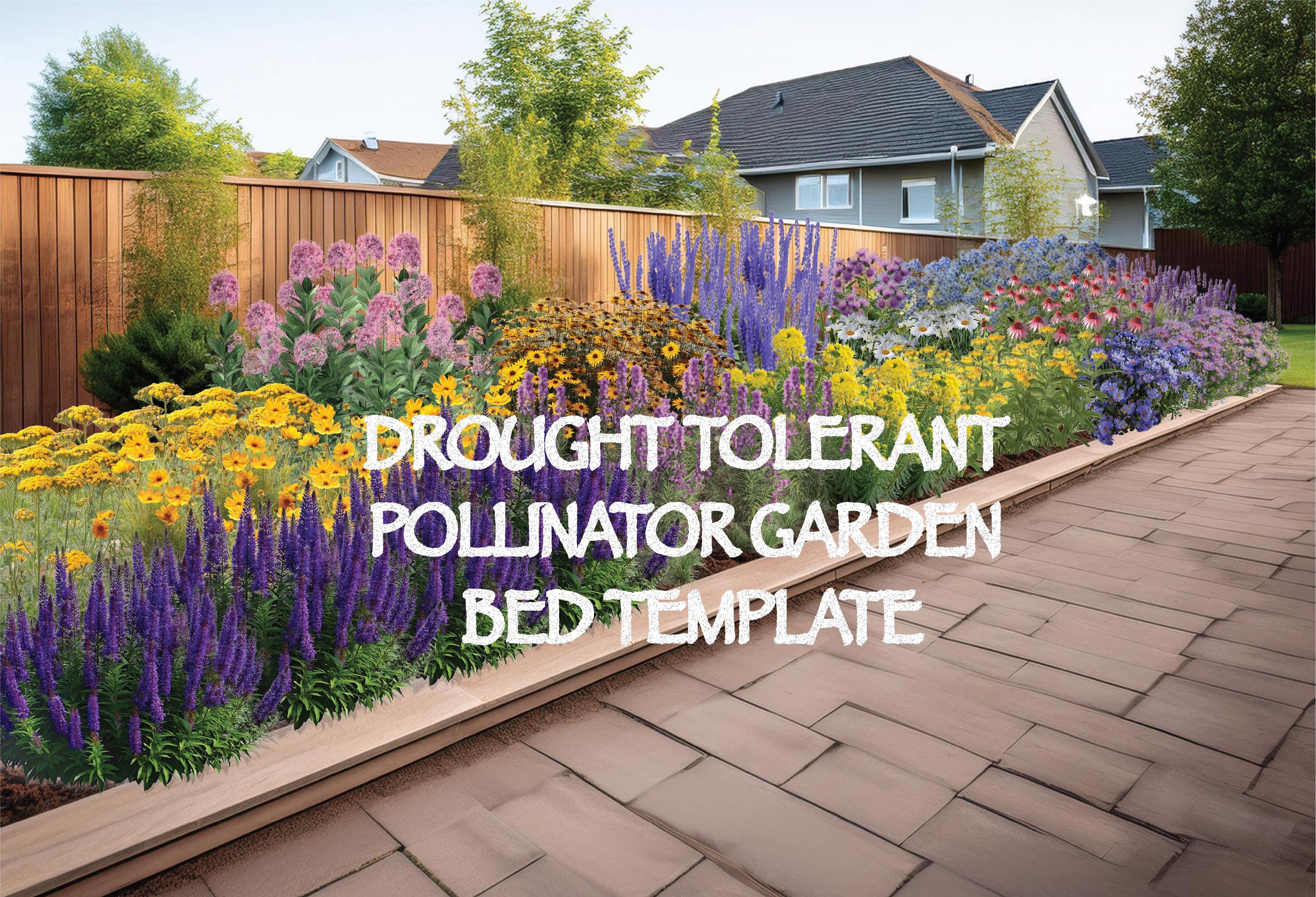 Drought Tolerant Pollinator Garden Bed Template - Rectangle (1.5m x 8m - drawn to scale) Zones 4 - 7