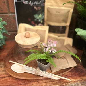 May include: A terrarium kit featuring a clear glass jar with a round wooden lid, a small fern, a pink-leafed plant, a wooden spoon, a clear spray bottle, and several brown paper packets containing soil and pebbles on a wooden tray.