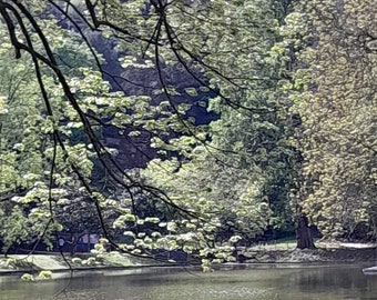 Photo aux Buttes-Chaumont