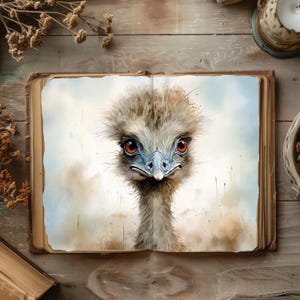 Australia Junk Journal, Kookaburra Scrapbook Bundle, Koala Rustikales Journal, Papierwesen, Känguru Ephemera, Blauer Zaunkönig Collage, Opossum Papiere