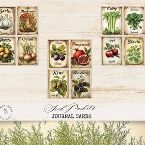 May include: A collection of vintage-style journal cards featuring illustrations of various fruits and vegetables, including garlic, mushrooms, potatoes, onions, plums, pomegranates, kiwi, blackberries, celery, spinach, apples, and stevia. The cards are labeled with the names of the produce.