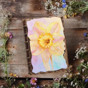Pagine di diario di giunchiglie, carte per album colorate, carta artigianale di narcisi, foglio di collage di fiori gialli, effimere floreali luminose