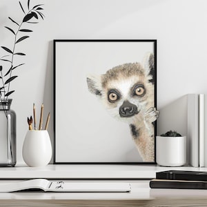 May include: Framed print featuring a detailed illustration of a lemur peeking out from behind a corner. The lemur has light brown and white fur with large, expressive eyes. The artwork is set against a white background.
