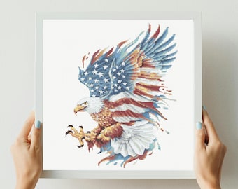 May include: A framed cross-stitch of an American bald eagle with outstretched wings. The eagle's wings and body are colored in the pattern of the American flag, with red and white stripes and blue with white stars. The eagle is set against a white background.