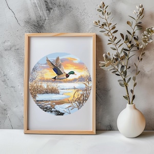 Può includere: Una stampa incorniciata di un germano reale che vola sopra un paesaggio invernale. L'anatra è in volo con le ali spiegate. Lo sfondo è una scena innevata con alberi e un lago ghiacciato.