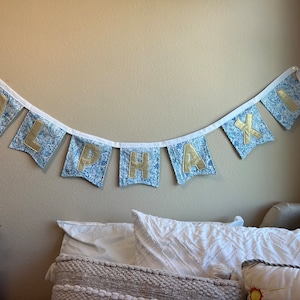 Alpha Xi Bunting