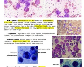 Comprehensive Clinical Pathology Vet Notes - BCSE and NAVLE Prep guide - An ultimate NAVLE Prep and Navle study Guide