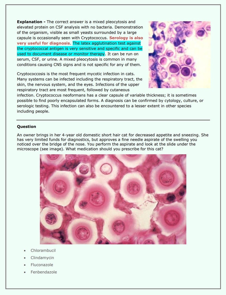 Feline NAVLE Questions Bank for NAVLE Prep Comprehensive NAVLE Prep Guide Navle Exam Question with Answers 1158 Pages image 7