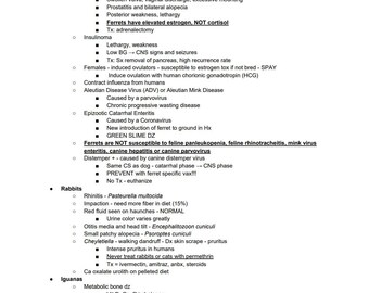 Comprehensive NAVLE Last Minutes Notes - Complete NAVLE notes for NAVLE Prep - Ultimate Navle Prep Last Minutes Notes for Quick Revision