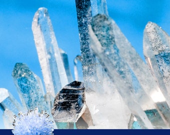 Nature's Magic: A Fantastic Journey of Growing Crystals