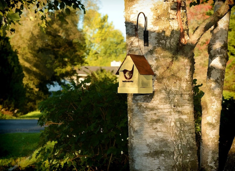 Handmade Rustic Bird House Outdoor Garden Decor Old Yellow with Metal Roof Home for Wrens & Chickadees image 4