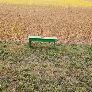 May include: A green wooden bench sits in a field of dried brown plants. The bench is made of simple wood planks and has a rustic look.