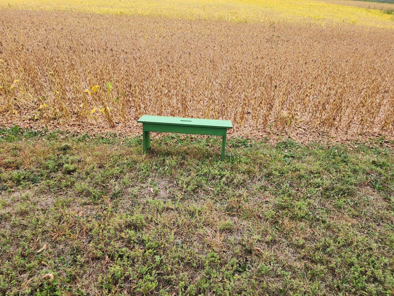 May include: A green wooden bench sits in a field of dried brown plants. The bench is made of simple wood planks and has a rustic look.