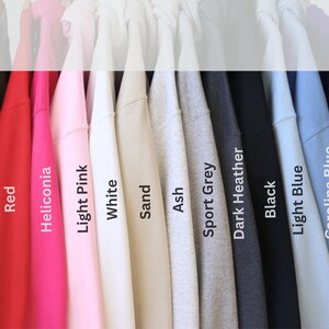 Puede incluir: Una fila de 13 sudaderas de diferentes colores colgadas en un estante. Los colores son verde militar, rojo, rosa, rosa claro, blanco, arena, ceniza, gris deportivo, gris oscuro, negro, azul claro, azul carolina y morado.