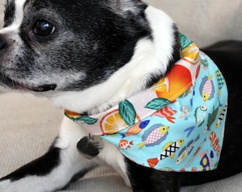Oranges and Fish Scrunchie Reversible Dog Bandana, elastic style bandanna, tropical oranges and fishes, cat dog, boy or girl, slip on