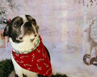 Holiday dog bandana, red white candy cane pet bandanna, plaid puppy bandana, Christmas dog wear dog lover gift, reversible cotton self tying