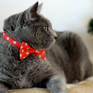 May include: A gray cat wearing a red and white polka dot bow tie. The cat is lying down and looking to the right.