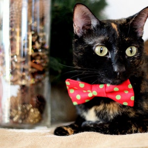 Katzenhalsband mit Fliege - grüne Punkte rote Baumwollkatzenfliege, Kätzchen Fliege, Hundefliege, verstellbares Halsband, Fotorequisite für Haustiere, Katzenhalsband