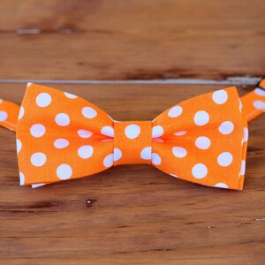 May include: Orange bow tie with white polka dots.
