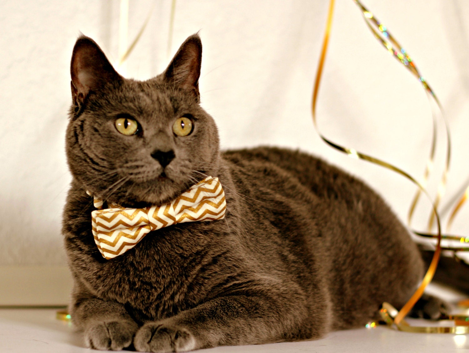 Gold Chevron Cat Bow Tie Collar - Gold Cream Zig Zag Cotton Cat Bowtie, Kitten Bow Tie, Dog Adjustable Collar, Photo Prop For Pets