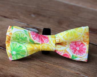 Tropical Citrus Cotton Dog Bow Tie, green pink yellow orange cotton tie for boy or girl dogs, bow tie attaches to collar, small medium large