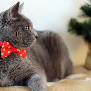 May include: A gray cat wearing a red and green polka dot bow tie. The cat is lying on a brown surface with a blurry green Christmas tree in the background.