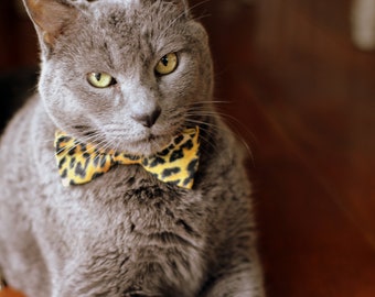 Tiger Cat Bow Tie and Collar, Bow Tie for Cat, leopard kitten collar, black white animal print cat collar, breakaway collar, tiger king