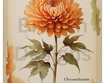 Autumn Rice Paper - Chrysanthemum Botanical Flower, Decoupage craft supply D386
