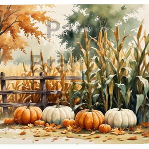 May include: Watercolor painting of a fall harvest scene. Features orange and white pumpkins of various sizes, fallen leaves, and a wooden fence. Tall corn stalks and a tree with orange leaves are in the background. The overall theme is autumn.