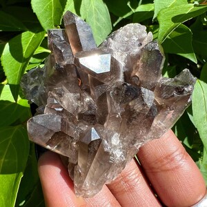 Beautiful Smoky Quartz Cluster - Root Chakra