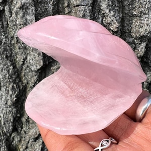 Gorgeous Rose Quartz Clam