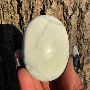 Owyhee Blue Opal Palm Stone - Throat Chakra