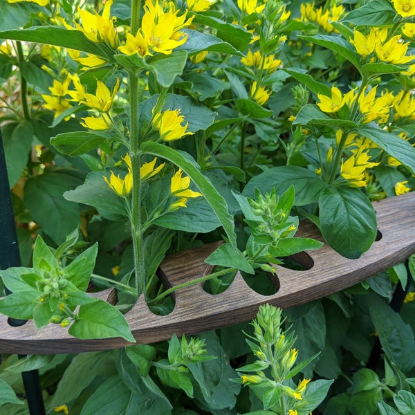 Pflanzenhalter Rankhilfe HOLZ, Blumenhalter aus Vollholz Staudenstütze, rustikale Landhaus Staudenstütze