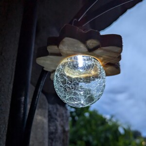 May include: A clear glass globe light fixture with a textured surface, hanging from a wooden flower-shaped base. The light is on and illuminating the globe.