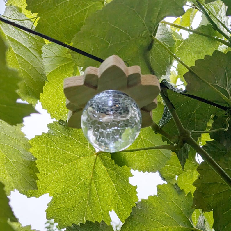 May include: A clear glass globe with a crackled texture hangs from a wooden, star-shaped pendant. The pendant is suspended from a black wire against a backdrop of green leaves.