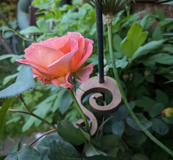Rankhilfe Staudenhalter Garten deko aus Holz Rosen exklusive dekorative  Rankgitter Vollholz rustikale Landhaus Staudensttze - Etsy.de