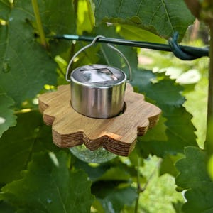 May include: A solar powered light with a wooden base and a clear glass bulb. The light is hanging from a wire and is surrounded by green leaves.