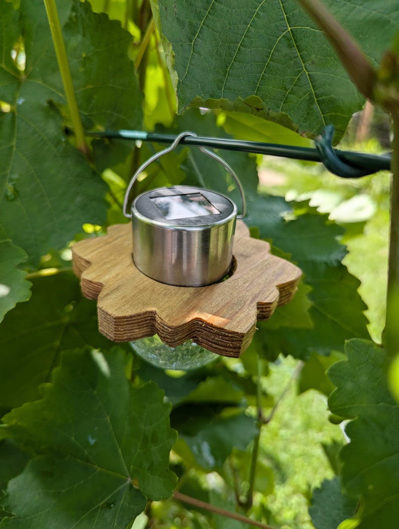 May include: A solar powered light with a wooden base and a clear glass bulb. The light is hanging from a wire and is surrounded by green leaves.