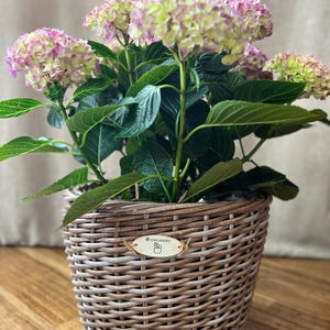 ラタンプランター、植木鉢、大型植木鉢、籐バスケットプランター、ガーデンフラワーポット、今人気の、秋春冬夏、耐熱性