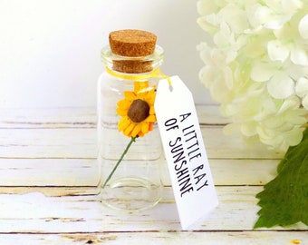 RESERVED FOR EMMA: 'A Little Ray of Sunshine' Sunflower in a Bottle Gifts