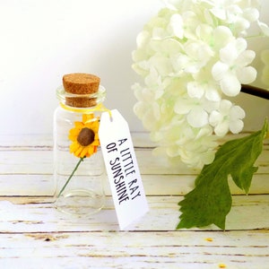 A little ray of sunshine: sunflower positivity gift, supportive message for friend, mental health / thinking of you. image 2