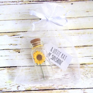 A little ray of sunshine: sunflower positivity gift, supportive message for friend, mental health / thinking of you. image 7